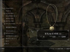 上古卷轴5魔抗巅峰附魔之道：探寻最高魔抗力的秘密