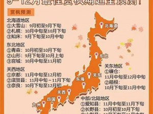 日本三线和韩国三线的商场定位有何不同？如何进行差异化竞争？