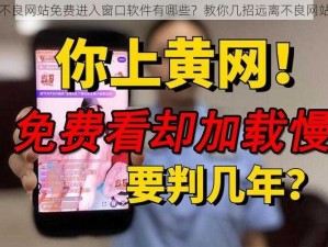 不良网站免费进入窗口软件有哪些？教你几招远离不良网站