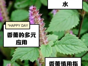 大香萑为什么如此受欢迎？它有哪些独特的功效和作用？