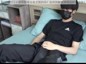 GARY2023 小蓝视频网站是正规的吗？如何判断视频网站的合法性？