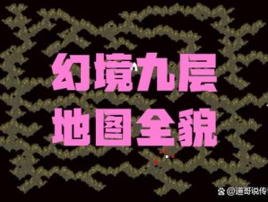 《混沌与秩序传奇幻境 BOSS 攻略：奶手法的关键与技巧》