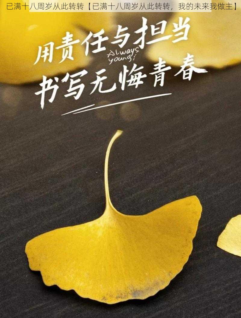 已满十八周岁从此转转【已满十八周岁从此转转，我的未来我做主】