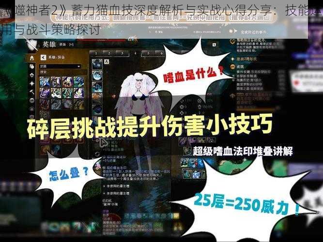 《噬神者2》蓄力猫血技深度解析与实战心得分享：技能运用与战斗策略探讨