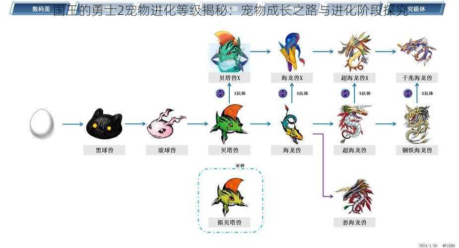 国王的勇士2宠物进化等级揭秘：宠物成长之路与进化阶段探究