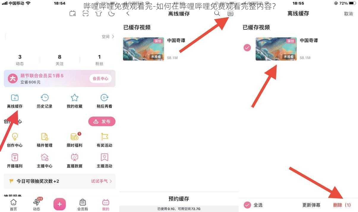 哔哩哔哩免费观看完-如何在哔哩哔哩免费观看完整内容？