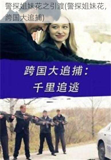 警探姐妹花之引渡(警探姐妹花，跨国大追捕)