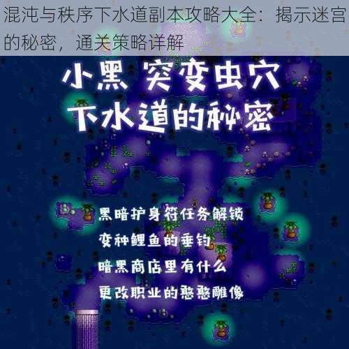 混沌与秩序下水道副本攻略大全：揭示迷宫的秘密，通关策略详解