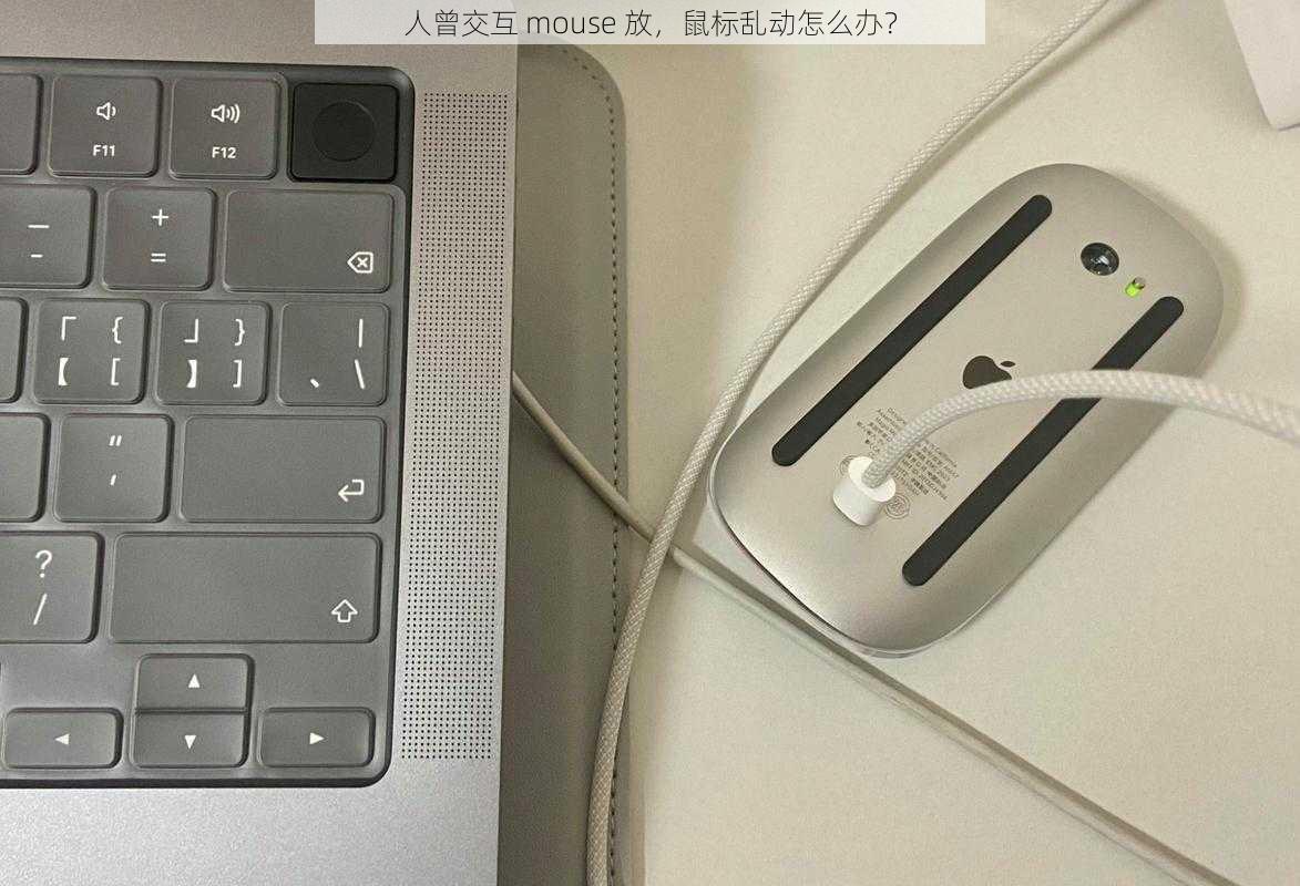 人曾交互 mouse 放，鼠标乱动怎么办？