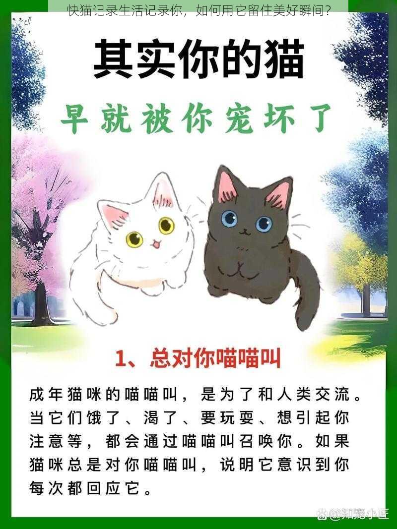 快猫记录生活记录你，如何用它留住美好瞬间？