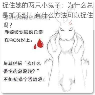 捉住她的两只小兔子：为什么总是抓不到？有什么方法可以捉住吗？