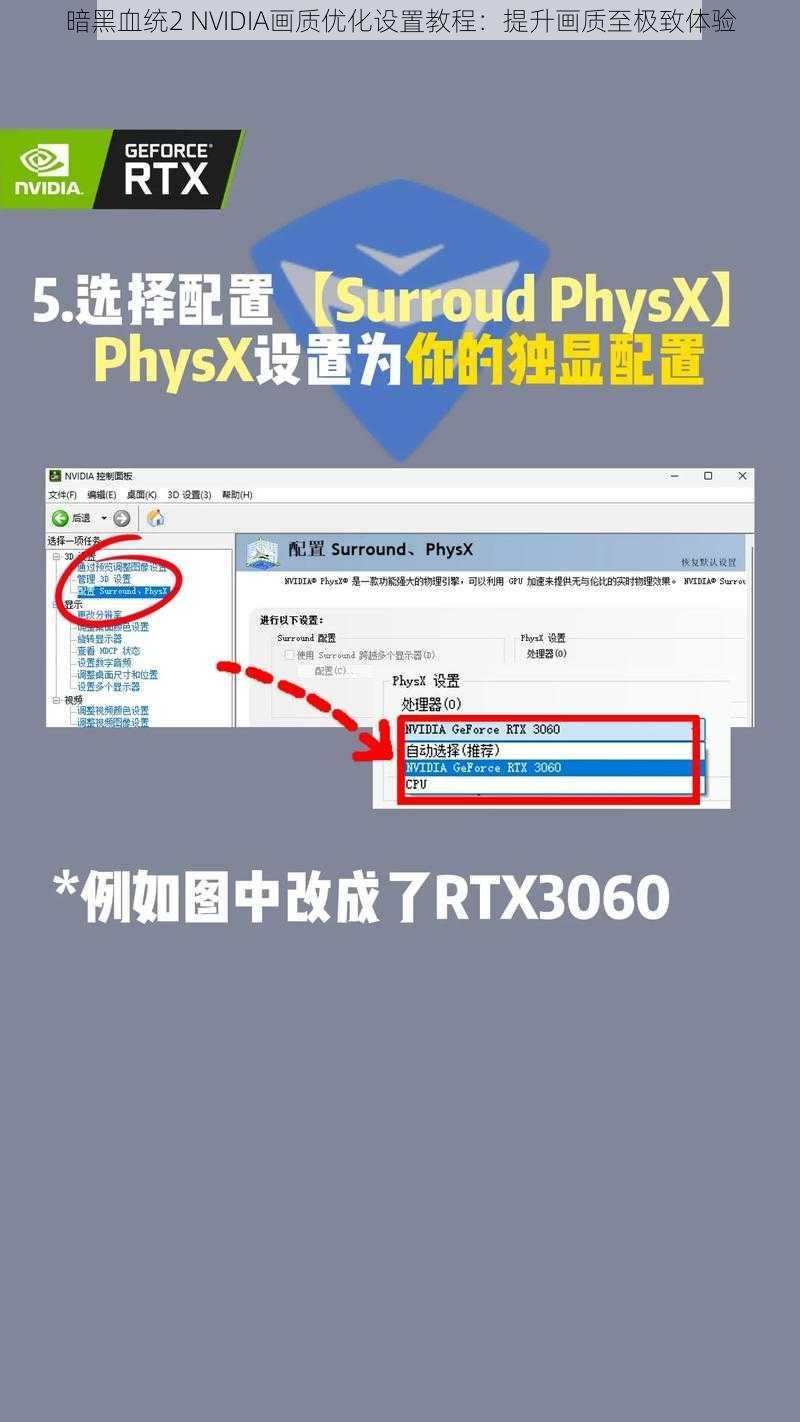 暗黑血统2 NVIDIA画质优化设置教程：提升画质至极致体验