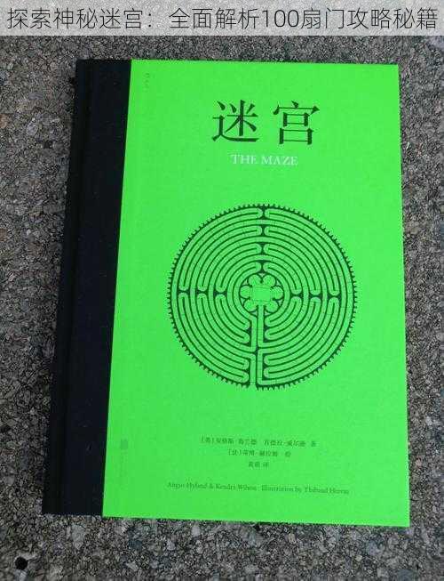 探索神秘迷宫：全面解析100扇门攻略秘籍