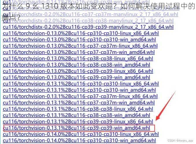 为什么 9 幺 1310 版本如此受欢迎？如何解决使用过程中的痛点？