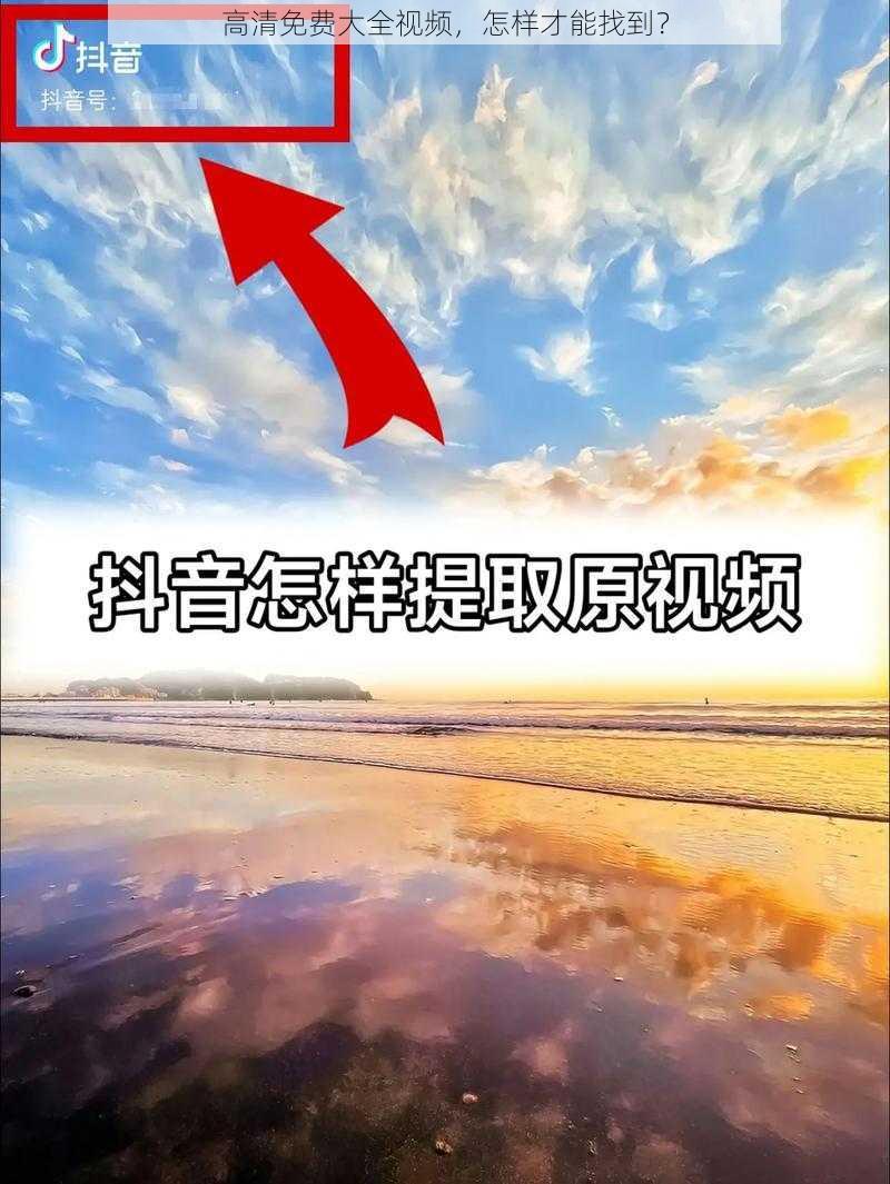 高清免费大全视频，怎样才能找到？