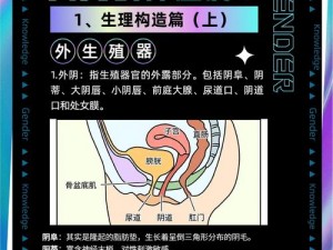 国产成人一区二区三区和国产成人一区二区三区别有什么不同？如何区分？