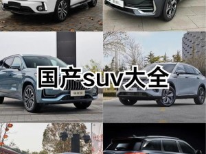 亚洲一线二线三线suv_亚洲一线二线三线 SUV 有哪些区别？