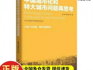 《特大城市 2012：城市规划与发展的思考与启示》