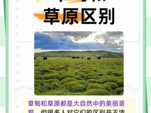 嫩草亚洲和欧洲的区别-嫩草亚洲和欧洲的区别在哪里？