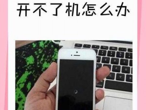 伊苏 7 黑屏怎么办？最新解决办法在这里