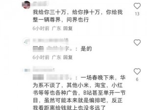 久久自己只精产国品 久久自己只精产国品，为何国人却不买账？