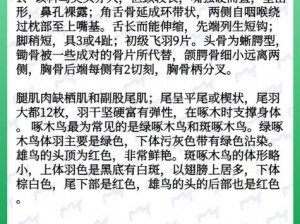 欧伦啄木鸟和普通啄木鸟有何区别？怎样区分它们？