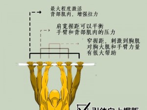 渺渺和体育老师做一节课引体向上，为何-怎样才能做得标准？