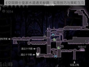 《空洞骑士皇家水道通关秘籍：实用技巧与策略指南》