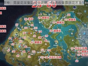 原神：霓裳花采集路线全攻略，快速收集霓裳花不是梦