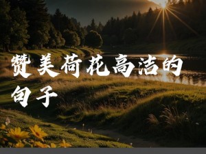 高洁高芳，让生活如诗般清新自然