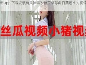 幸福宝 app 下载安装有风险吗？丝瓜草莓向日葵芭比为何值得信赖？