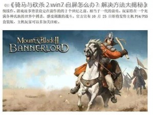 《骑马与砍杀 2 win7 白屏怎么办？解决方法大揭秘》