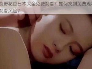 为什么不能野花香日本大全免费观看？如何找到免费观看的方法？怎样避免观看风险？