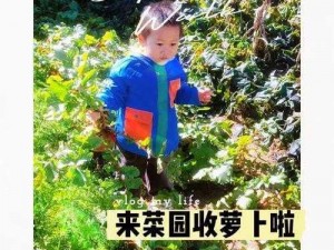 姐弟俩拔萝卜又疼又叫高新，究竟是何原因？