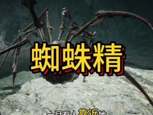 《魔能之巅：攻略蜘蛛怪打法全解析》