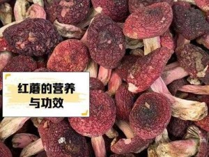 99 国精产品灬源码 1 蘑菇为什么这么火？如何获取？