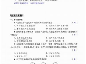 《仁王武功点：实用价值与影响》——以历史事实为基础的探讨