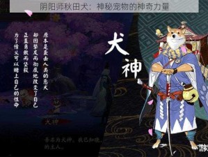 阴阳师秋田犬：神秘宠物的神奇力量