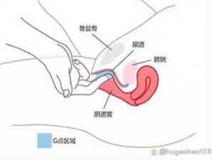 在按摩时，按摩师摸到 G 点后让我达到了高潮，这正常吗？