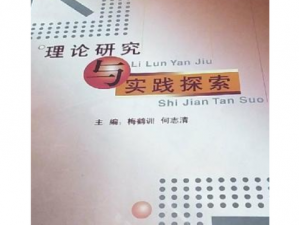 《探索格兰蒂亚秘闻：VLAN联机方式解析与应用实践》