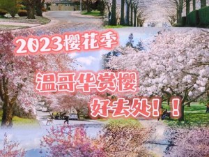 樱花官方正版官网入口2023;樱花官方正版 2023 官网入口：赏花、购花的好去处