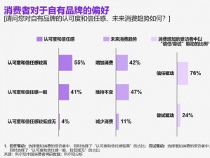 二三线品牌如何影响消费者选择？