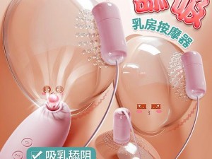 办公室 H 荡乳欲伦交换小喜：情趣用品中的高端选择