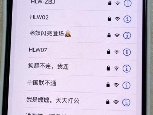 欧洲 vodafonewifi 热点速度为何如此之高？