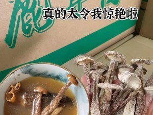 国精产品蘑菇一区一区有限【蘑菇一区一区有限，国精产品的奥秘】