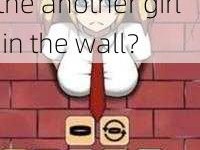 ANOTHER GIRL IN THE WALL Who is the another girl in the wall？