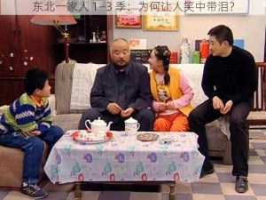 东北一家人 1—3 季：为何让人笑中带泪？