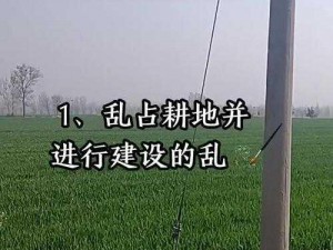 农村乱肉合集乱 500 篇，为何农村乱象频发？应该如何解决？