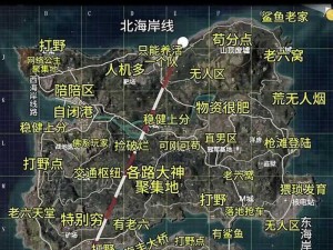 和平精英新版本海岛攻略大全：全面解析海岛玩法，新手快速上手指南