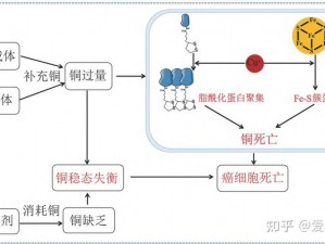 为什么我的身体会有这么多铜元素？如何排出这些多余的铜？铜元素过多会对身体造成哪些危害？